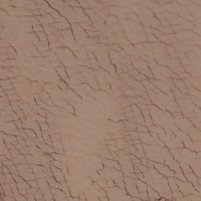 Queen Esoteric Eyebrow Pomade Ditzy